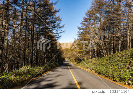 霧ヶ峰から八島湿原へのビーナスライン 133341164