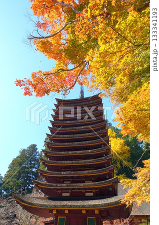 下から見上げる紅葉に囲まれた奈良県桜井市の談山神社にある十三重塔と紅葉 133341193