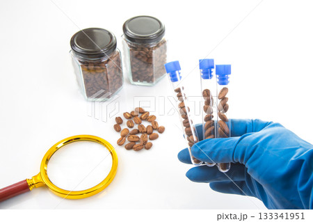 A scientist in blue gloves examines coffee beans in test tubes 133341951