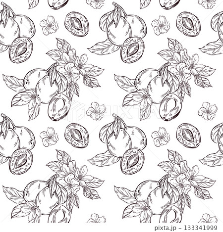 Seamless vector pattern of plums, prunes, leaves and flowers of fruit trees. All objects are hand-drawn. The illustration is perfect for printing on fabric, for packaging dried fruits. Seamless vector pattern of plums, prunes, leaves and flowers of fruit trees. All objects are hand-drawn. The illustration is perfect for printing on fabric, for packaging dried fruits. 133341999