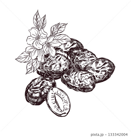 Prunes with flowers and leaves, all objects hand-drawn with ink and translated into vector. The illustration is perfect for printing on the packaging of goods, food, dishes, cosmetics. 133342004