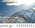 silhouettes of drops falling water fountain against the backdrop of the setting sun 133342151