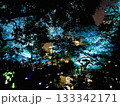 日比谷公園ライトアップ 133342171