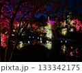 目白庭園ライトアップその二 133342175