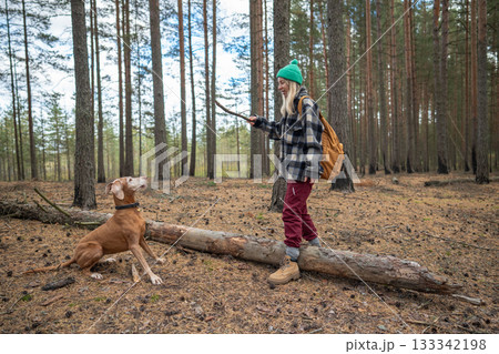 Playful Hungarian Vizsla dog waitsing for stick throw in forest clearing, autumn game with woman 133342198