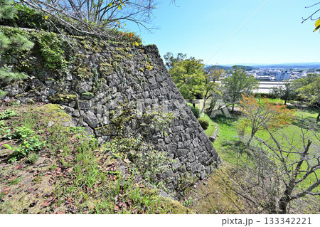伊賀上野城　天守閣と高石垣 133342221