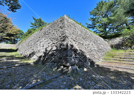伊賀上野城　天守閣と高石垣 133342223