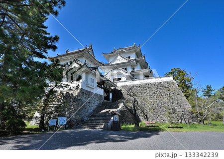 伊賀上野城　天守閣と高石垣 133342239