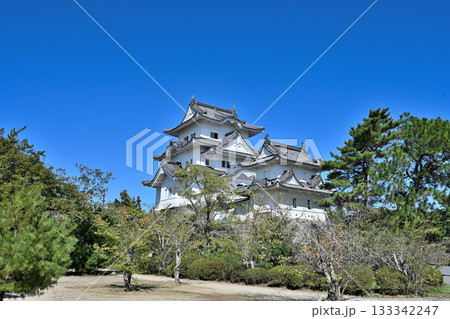 伊賀上野城 天守閣と高石垣 伊賀上野城 天守閣と高石垣 133342247