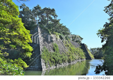 伊賀上野城　天守閣と高石垣 133342260