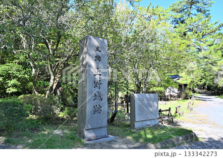 伊賀上野城　天守閣と高石垣 133342273