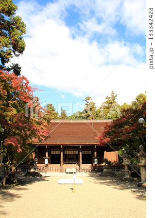 多田神社拝殿紅葉 133342428