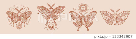 Celestial boho moths in mystic brown line art style Celestial boho moths in mystic brown line art style 133342907