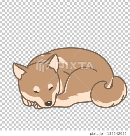 A simple illustration of a Shiba Inu sleeping curled up 133342923