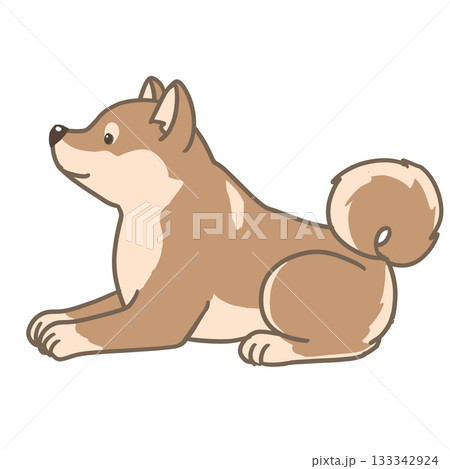 伏せをする柴犬のシンプルイラスト 133342924