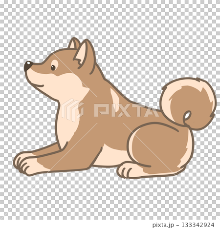 伏せをする柴犬のシンプルイラスト 133342924