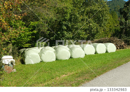 Wrapped silage bales in an alpine meadow, hay bales Wrapped silage bales in an alpine meadow, hay bales 133342983
