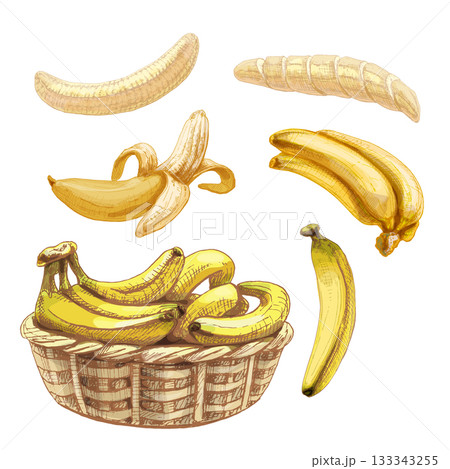 Set with fresh whole and peeled banana. Vintage vector hatching Set with fresh whole and peeled banana. Vintage vector hatching 133343255