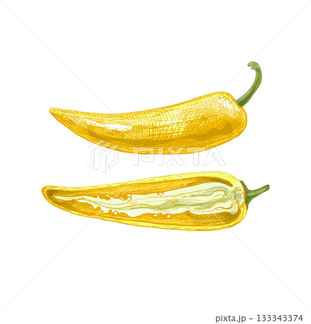 Whole and half banana pepper. Vector vintage hatching color illustration. Whole and half banana pepper. Vector vintage hatching color illustration. 133343374
