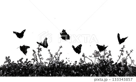 Black Solid Admiral Butterfly Controlled Zigzag Flight Silhouettes Set of Six on White Background 133343857