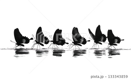 Black Solid Admiral Butterfly Descending Moisture Ground Silhouettes Set of Six on White Background Black Solid Admiral Butterfly Descending Moisture Ground Silhouettes Set of Six on White Background 133343859