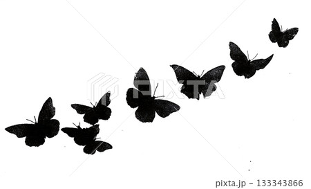 Black Solid Admiral Butterfly Flying Up Vertical Surface Silhouettes Set of Six on White Background Black Solid Admiral Butterfly Flying Up Vertical Surface Silhouettes Set of Six on White Background 133343866