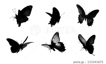 Black Solid Admiral Butterfly Gliding in Tandem Silhouettes Set of Six on White Background 133343875