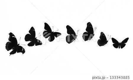 Black Solid Admiral Butterfly Long Smooth Unpowered Glide Silhouettes Set of Six on White Background 133343885