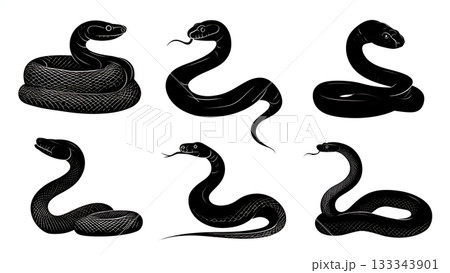 Black Solid Anaconda Heavy Coils Resting Sunny Riverbank Silhouettes Set of Six on White Background Black Solid Anaconda Heavy Coils Resting Sunny Riverbank Silhouettes Set of Six on White Background 133343901