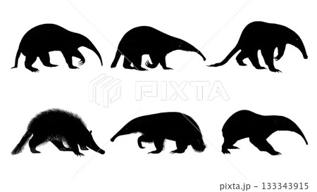 Black Solid Anteater Walking Standing Snout Lowered Silhouettes Set of Six on White Background 133343915