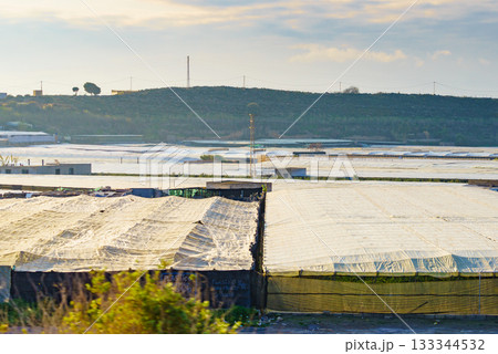Plastic greenhouses on coast, Spain 133344532