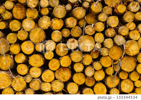 Pile of wood wooden logs background 133344534