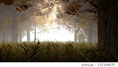 3d rendering. Illustration of autumn forest in sunlight and mist. 133344635