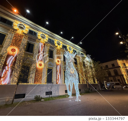 Building of Municipality of Tirana, the capital of Albania, illuminated to New Year. Tirana, Albania. 133344797