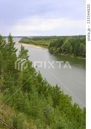 A steep slope with a pine forest on the Ob River near the village of Beloyarka, Siberia, Russia 133344820