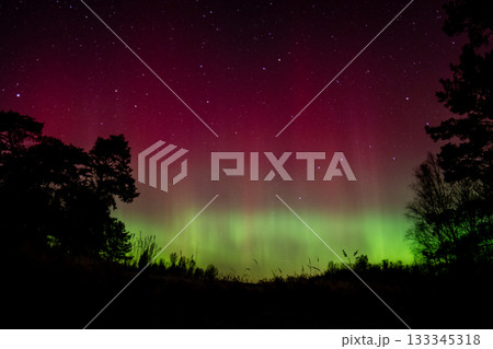 Night landscape with northern lights Night landscape with northern lights 133345318
