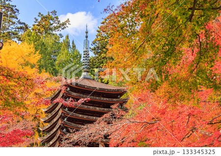 紅葉見頃な談山神社 133345325