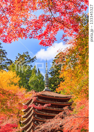紅葉見頃な談山神社 133345327