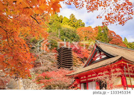 紅葉見頃な談山神社 紅葉見頃な談山神社 133345334