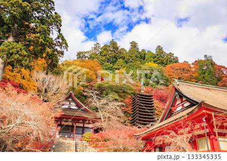 紅葉見頃な談山神社 133345335