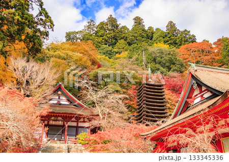 紅葉見頃な談山神社 紅葉見頃な談山神社 133345336