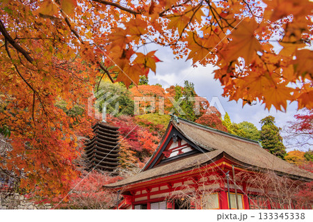 紅葉見頃な談山神社 133345338