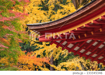 紅葉見頃な談山神社 133345346
