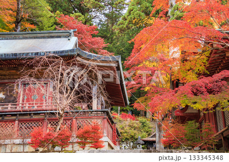 紅葉見頃な談山神社 133345348