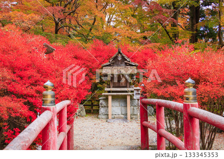 紅葉見頃な談山神社 紅葉見頃な談山神社 133345353