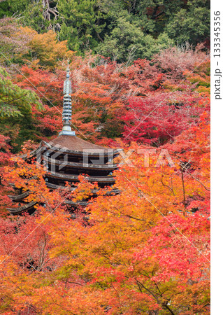 紅葉見頃な談山神社 紅葉見頃な談山神社 133345356