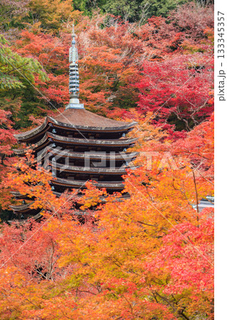 紅葉見頃な談山神社 133345357