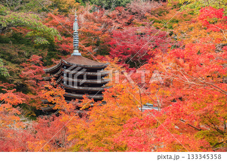 紅葉見頃な談山神社 133345358
