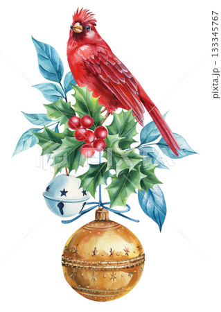 Watercolor Red Cardinal with Holly Leaves, Berries and holiday Ornaments, bell, Festive Winter Bird Illustration Watercolor Red Cardinal with Holly Leaves, Berries and holiday Ornaments, bell, Festive Winter Bird Illustration 133345767