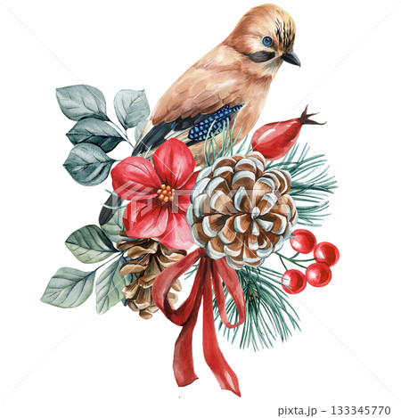 Watercolor winter bird with red flower pinecone winter berries evergreen branches festive holiday floral illustration 133345770
